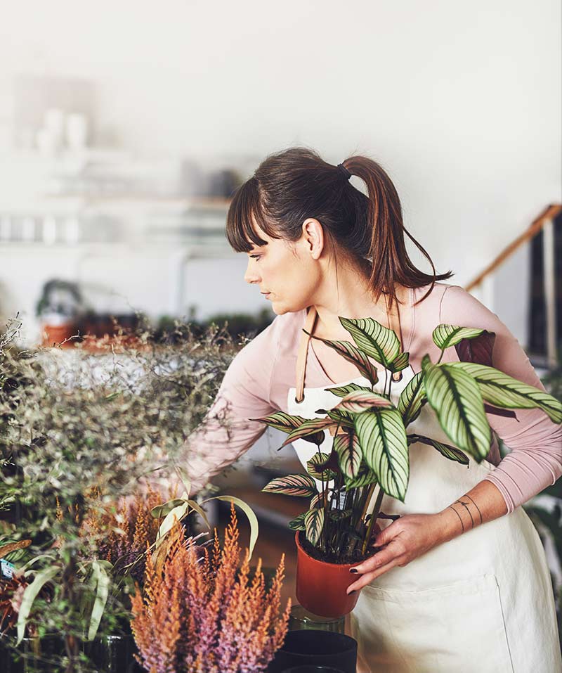 Wedding flowers by a top florist in Morocco